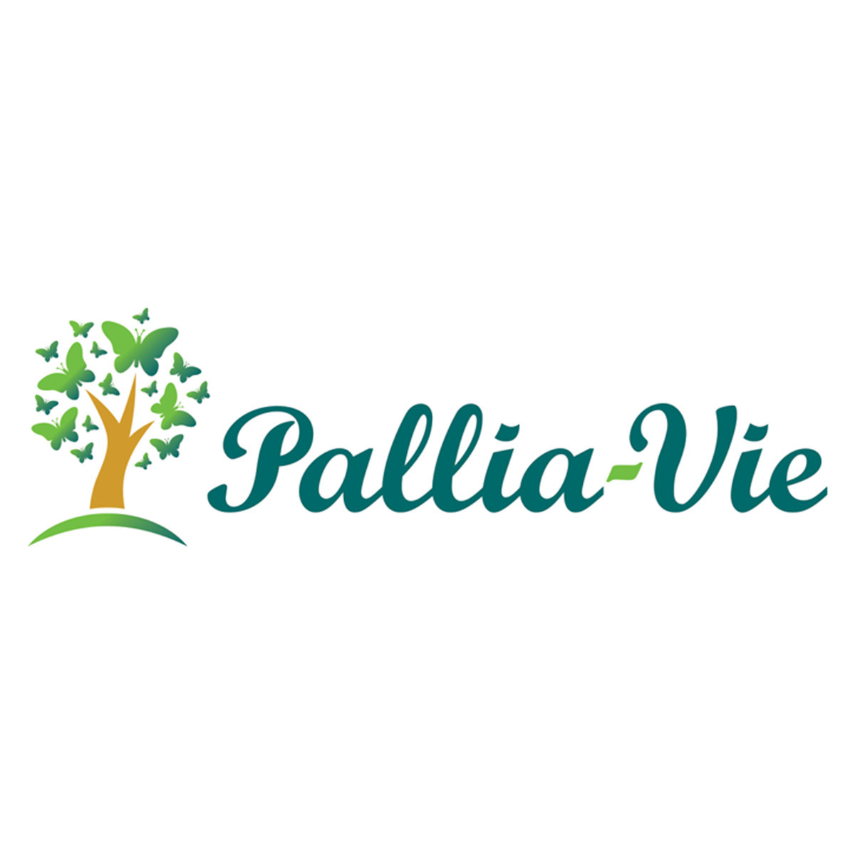 Sans_titre-1_0002_PALLIA_VIE